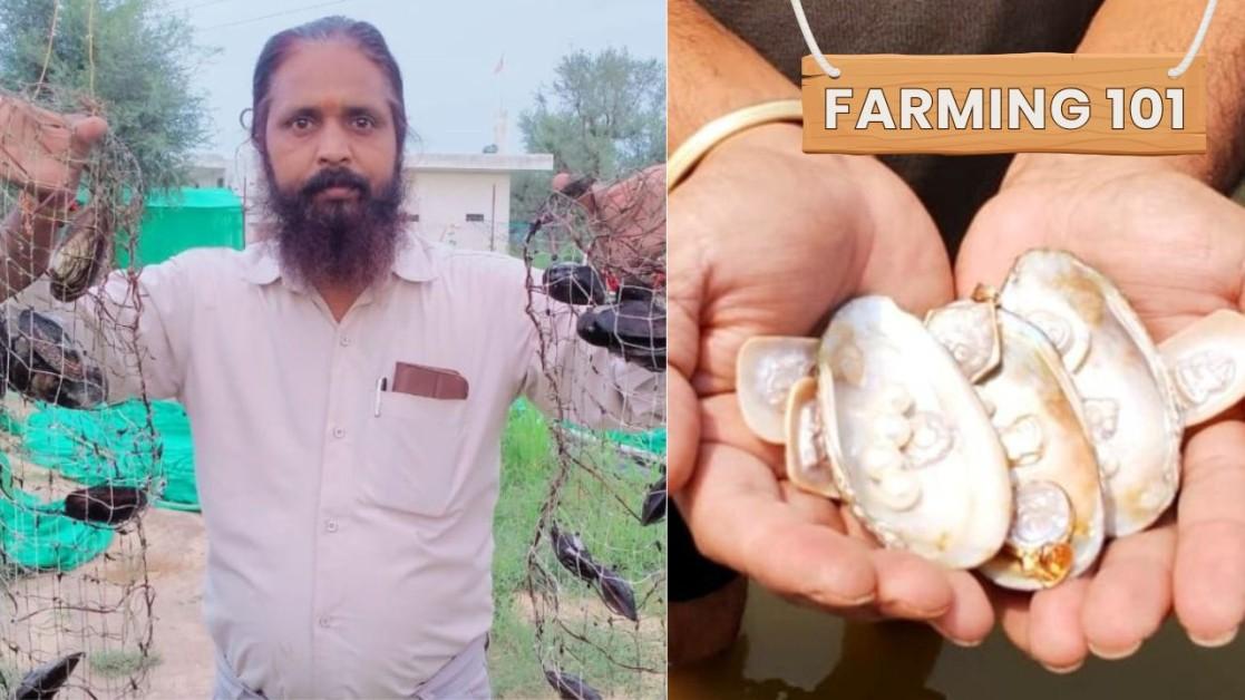 7 Tips for Success in Pearl Farming: How to Earn Lakhs from a Profitable Venture