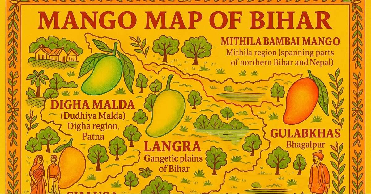 Bihar’s Mango Map: Discover the Best Mango Varieties This Summer