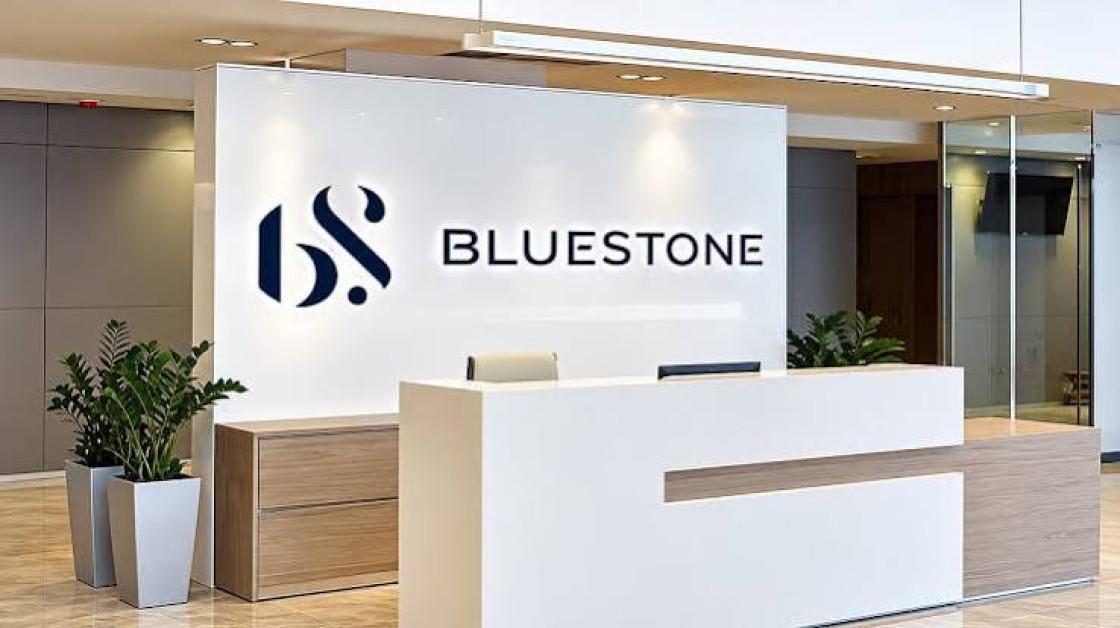 BlueStone Jewellery Q2 FY27 Results: Net Profit Reaches ₹1.7 Crore, Revenue Hits ₹740 Crore