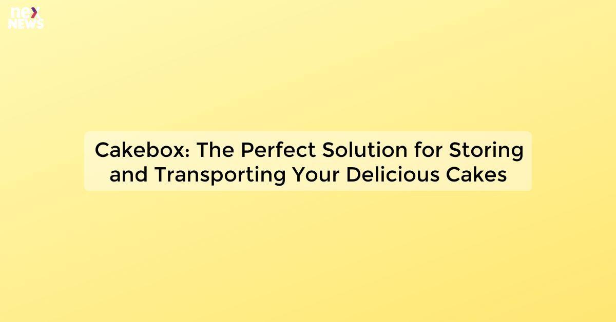 Cakebox: The Perfect Solution for Storing and Transporting Your Delicious Cakes