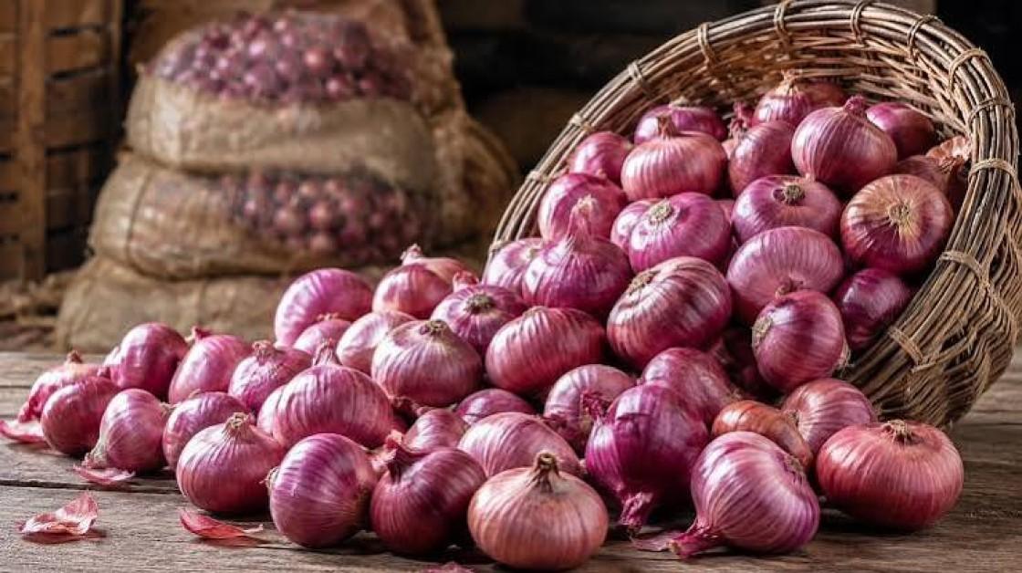 Centre Begins Onion Sales at ₹35 Per Kg in Delhi From August 27 to Curb Price Surge
