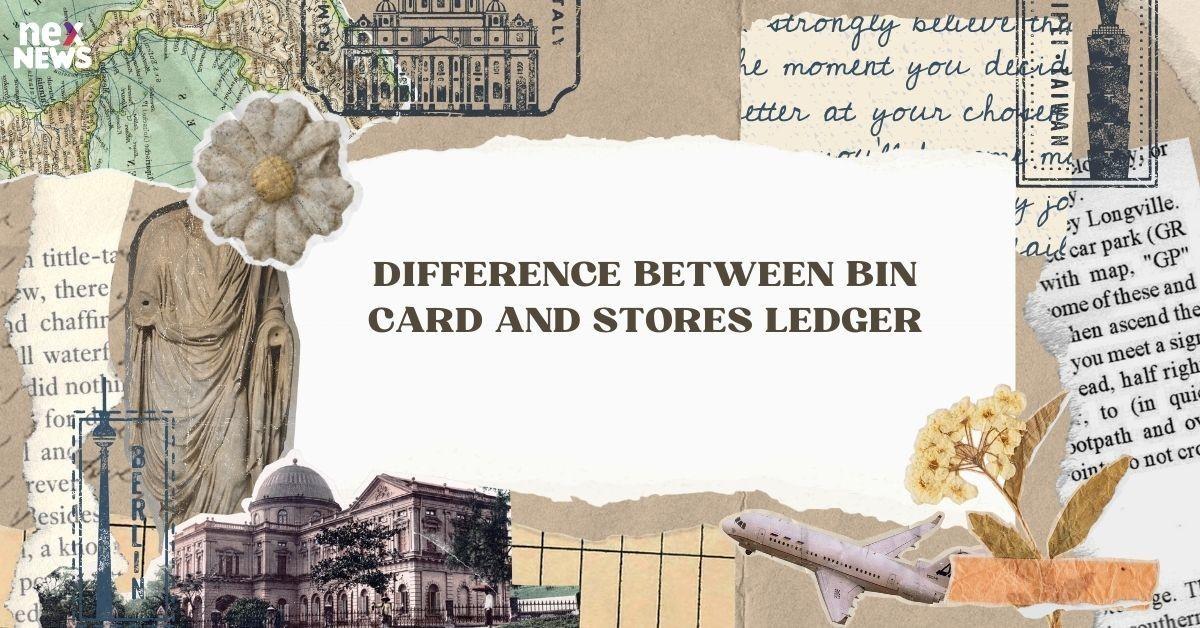 Difference Between Bin Card and Stores Ledger