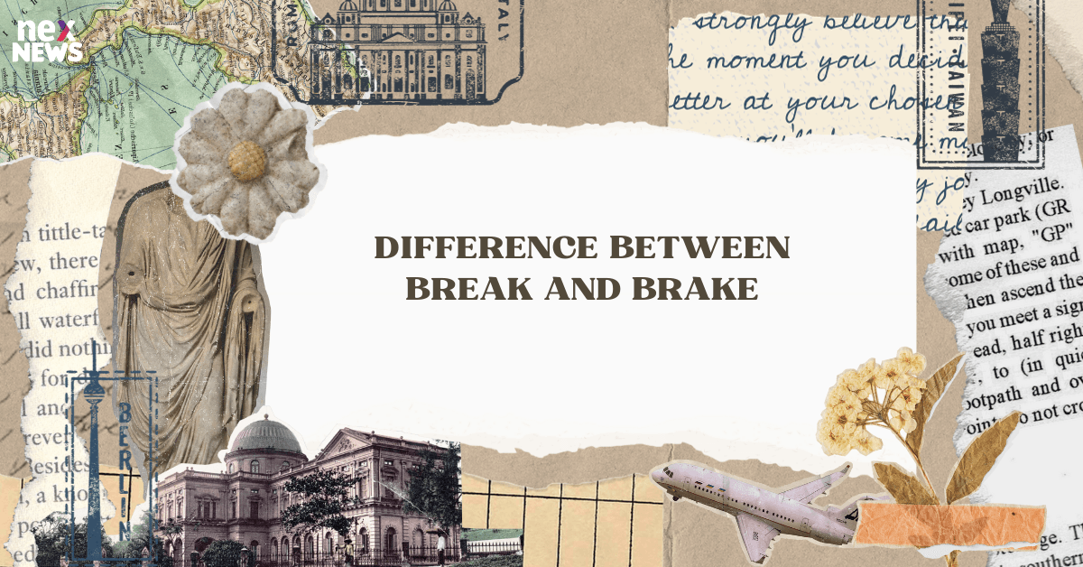 Difference Between Break and Brake