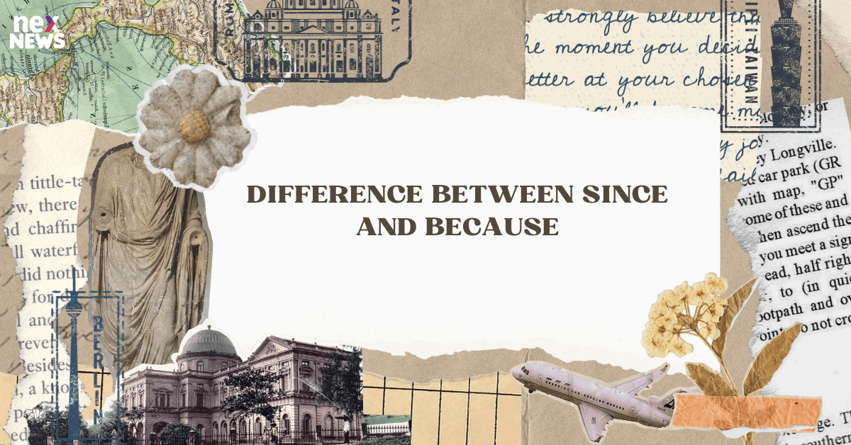 Difference Between Since and Because