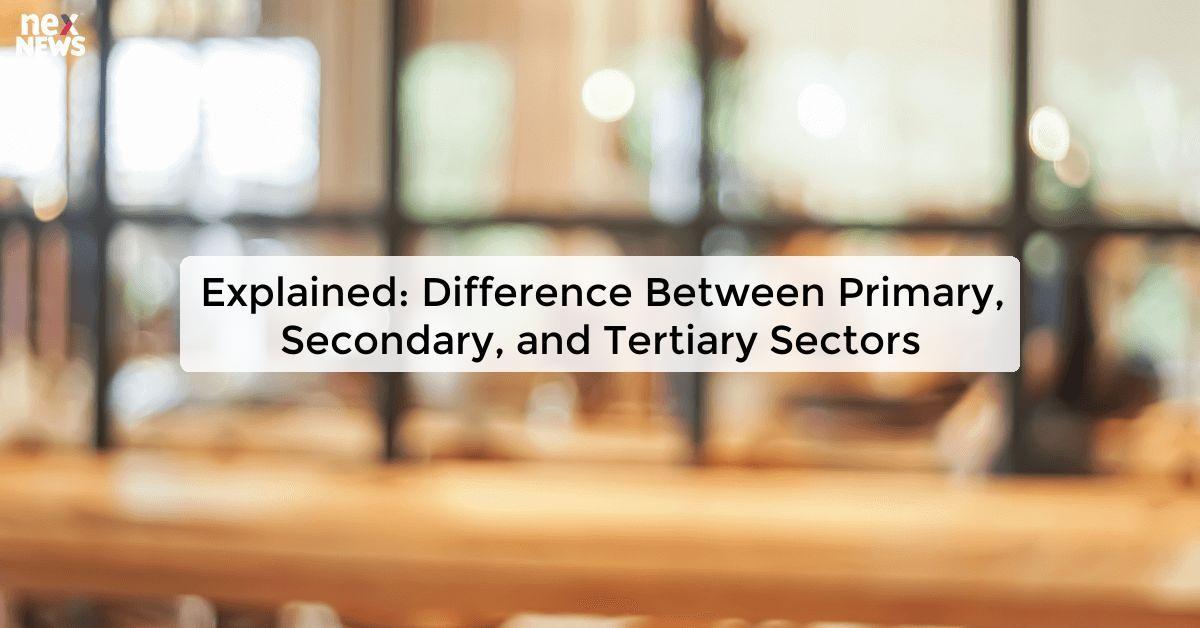 Explained: Difference Between Primary, Secondary, and Tertiary Sectors