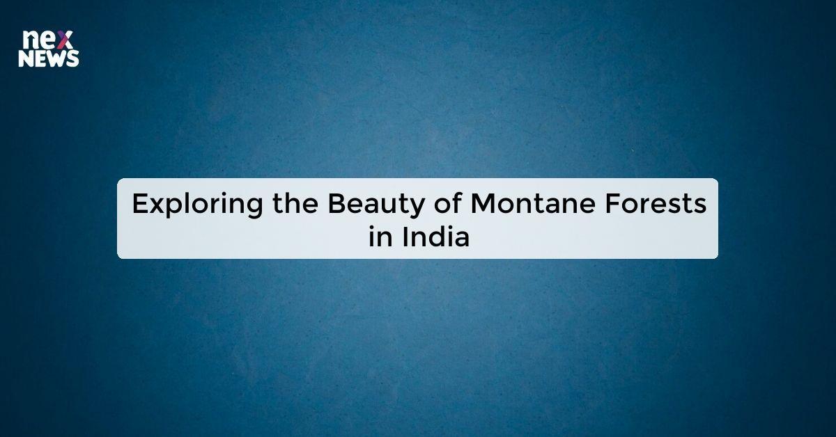 Exploring the Beauty of Montane Forests in India