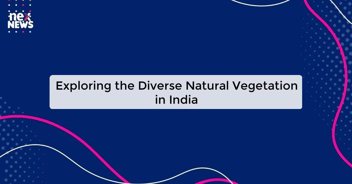 Exploring the Diverse Natural Vegetation in India