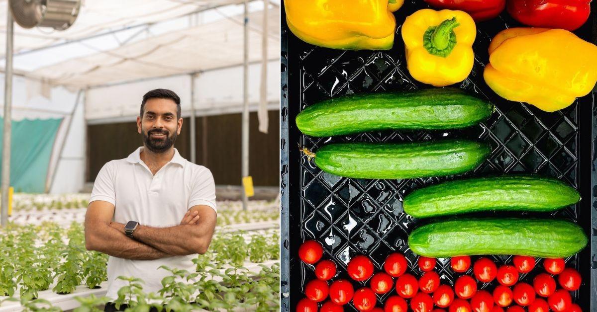 Farmer Earns 5 Times More with Hydroponics & Helps Others Switch | Pritpal Singh’s Success Story