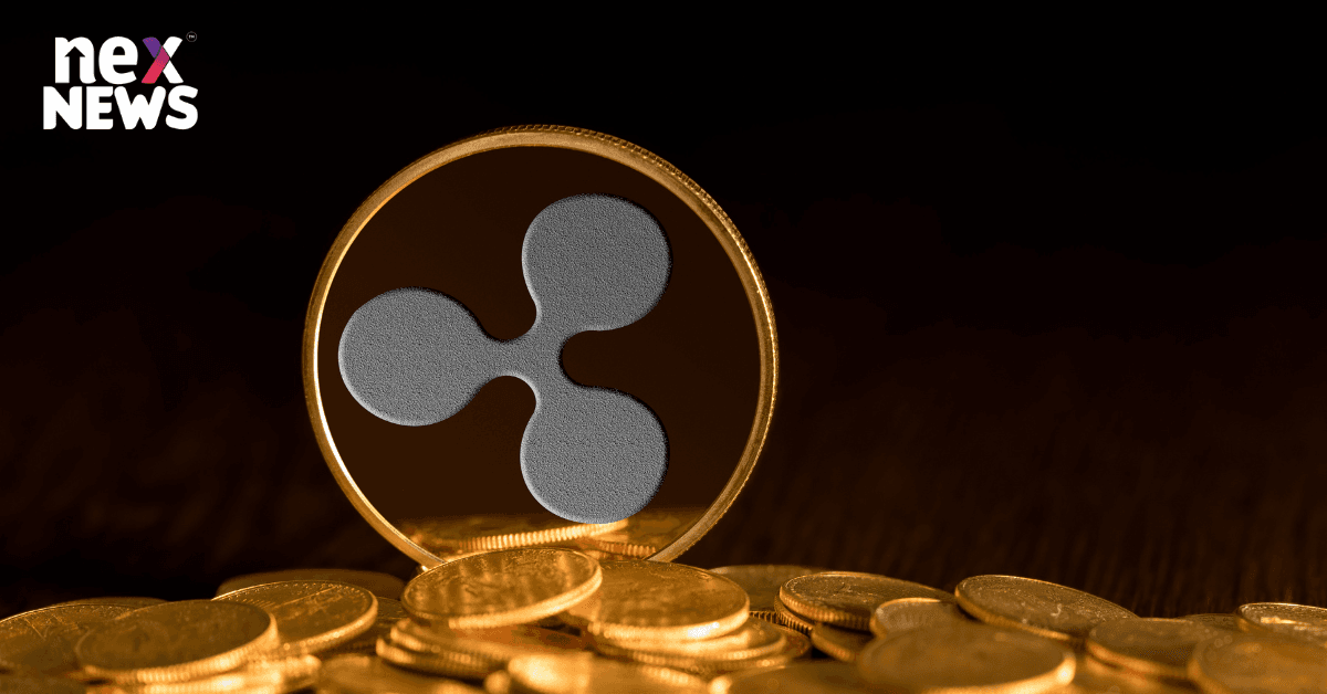 Gold vs. Bitcoin: Which One is a Better Investment for the Future?