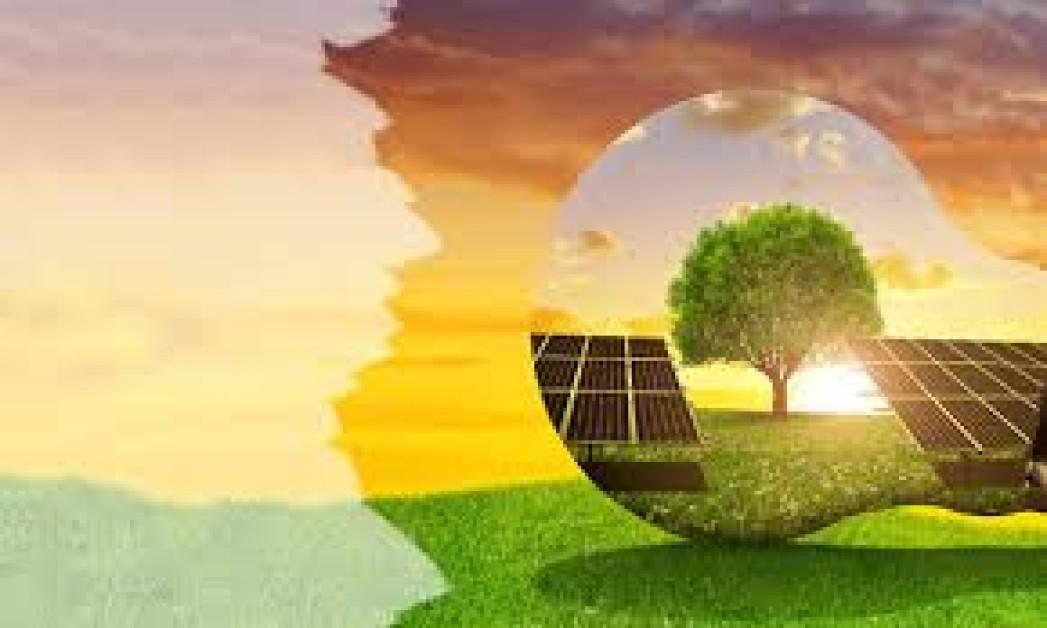 Green Economy How Smart Policies Are Driving India's Sustainable Growth
