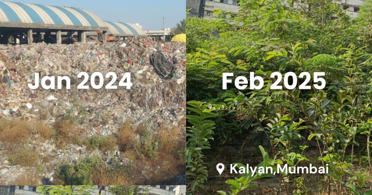 How 100+ Urban Forests Are Cooling India’s Cities, One Tree at a Time