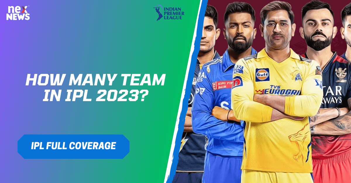 How Many Team In IPL 2023?