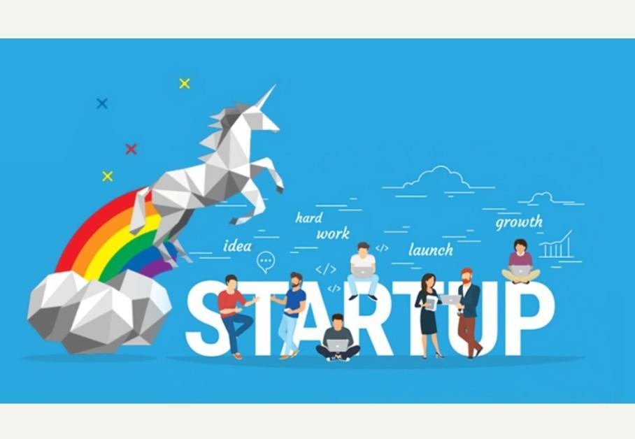 Indian Unicorns: Stories of Innovation and Growth