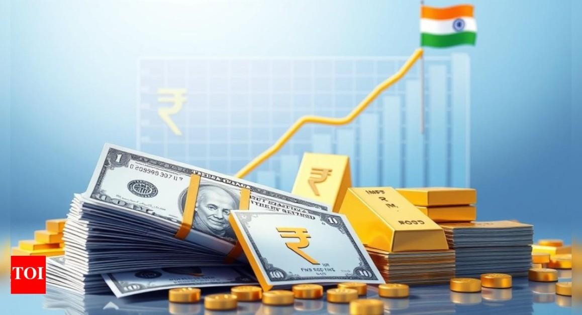 India’s Forex Reserves Rise by $2.7 Billion to $698.19 Billion