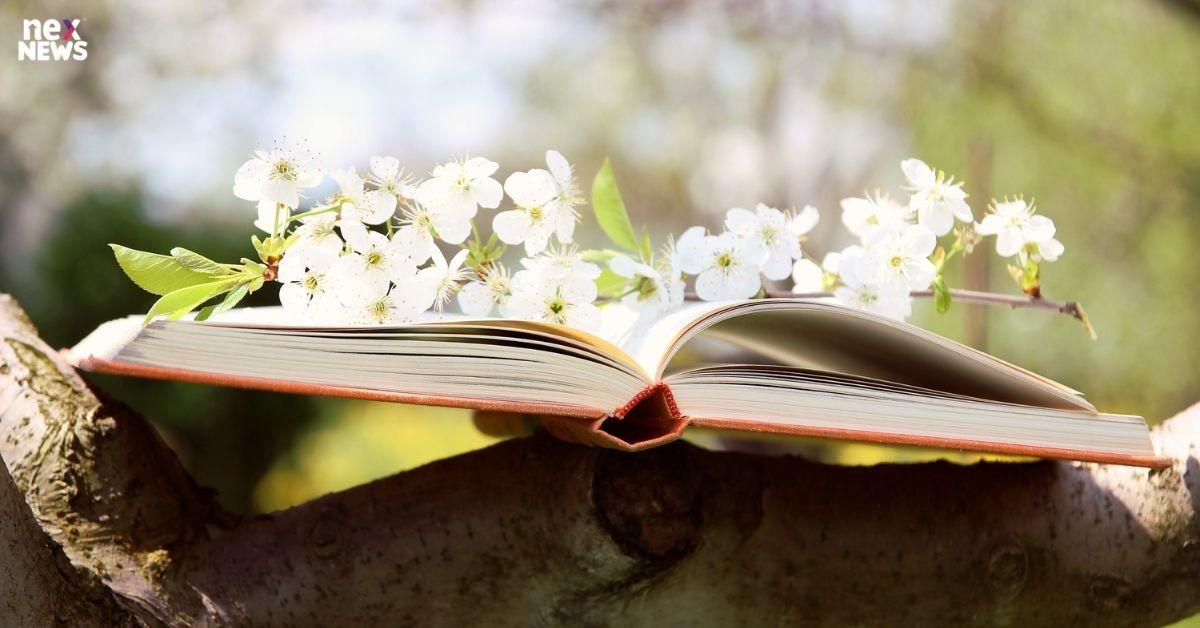 International Airports Of India