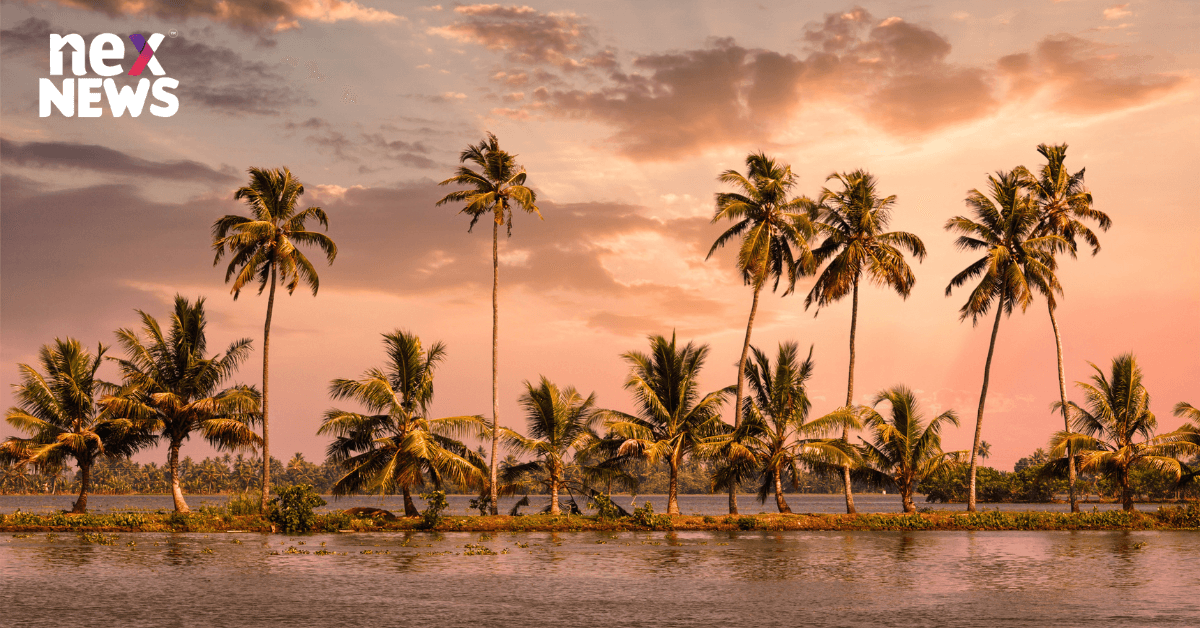 Kerala Blasters: Team overview