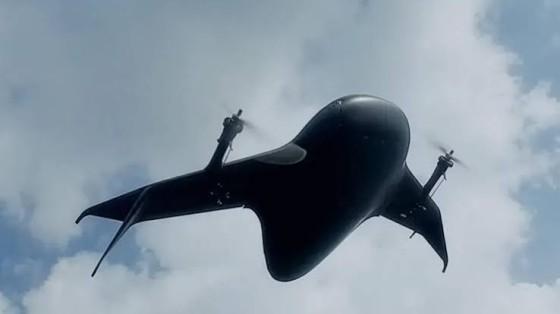 airbound-raises-37_1787668317105892184.webp