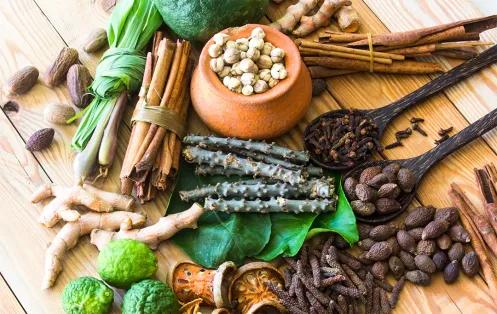 ayurvedic-remedies-f_1739532409776553524.webp