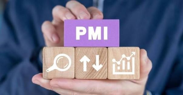 india-august-pmi-sho_1787319535561638013.webp