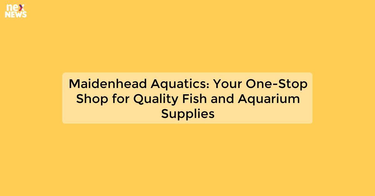 Maidenhead Aquatics: Your One-Stop Shop for Quality Fish and Aquarium Supplies