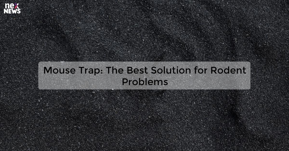 Mouse Trap: The Best Solution for Rodent Problems