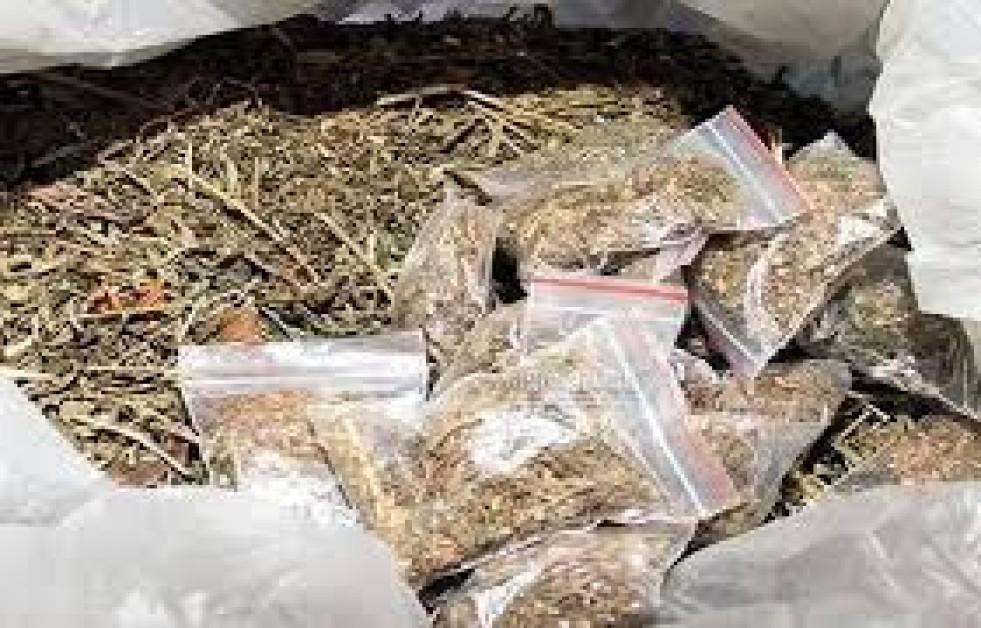 Nagpur Police Seize 108 Kg Ganja After High-Speed Chase