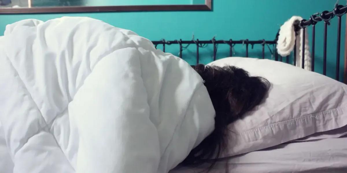 Nearly Half of People Wait a Month to Wash Bedsheets, New Survey Finds