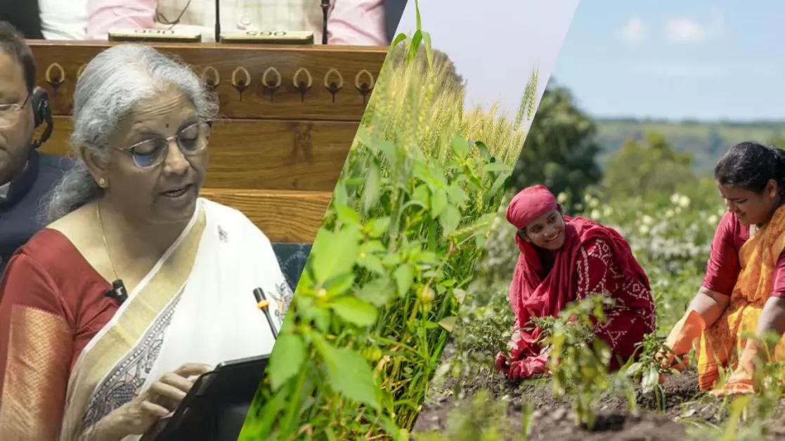 New Agriculture-Support Scheme 2025: Boosting Productivity and Rural Development