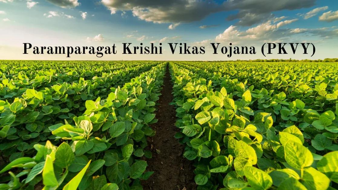 Paramparagat Krishi Vikas Yojana (PKVY): Promoting Organic Farming in India