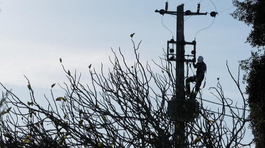 Punjab Electricity Workers’ Protest Intensifies, Disrupting Power Supply Across State