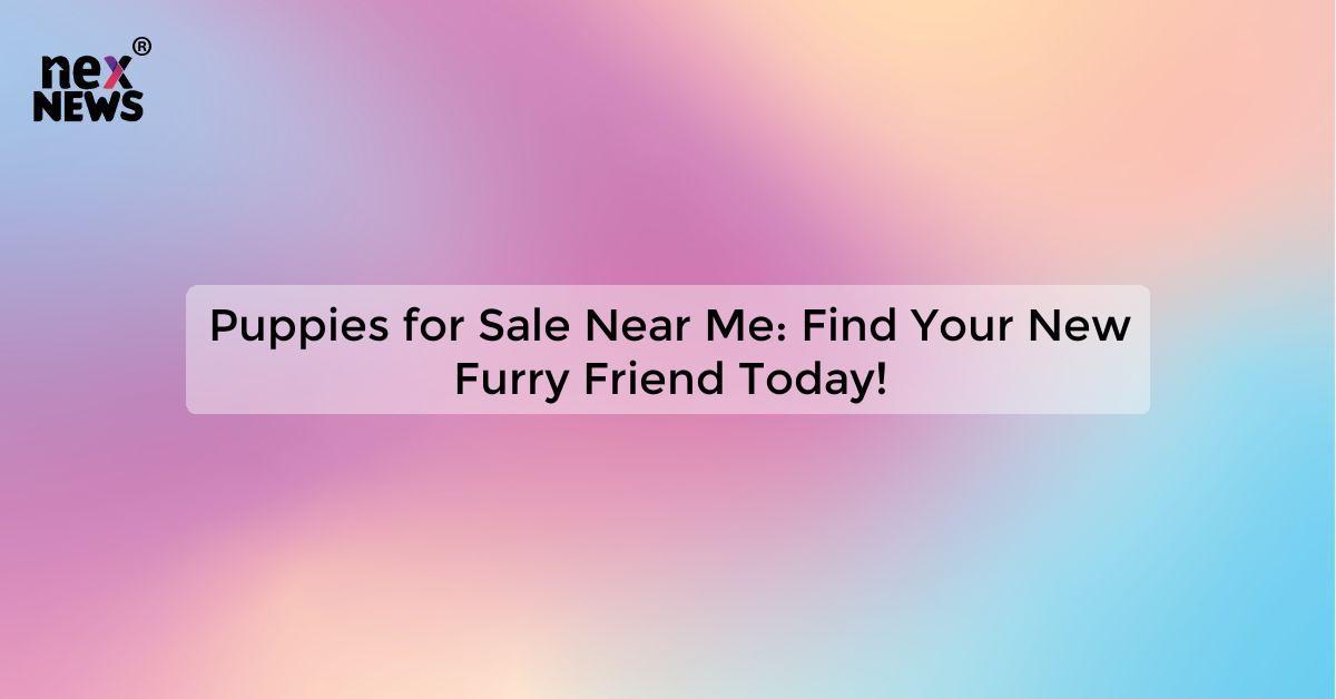 Puppies for Sale Near Me: Find Your New Furry Friend Today!