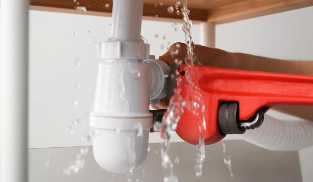 Reasons to Choose Professional Leak Repair Services in Portland Today