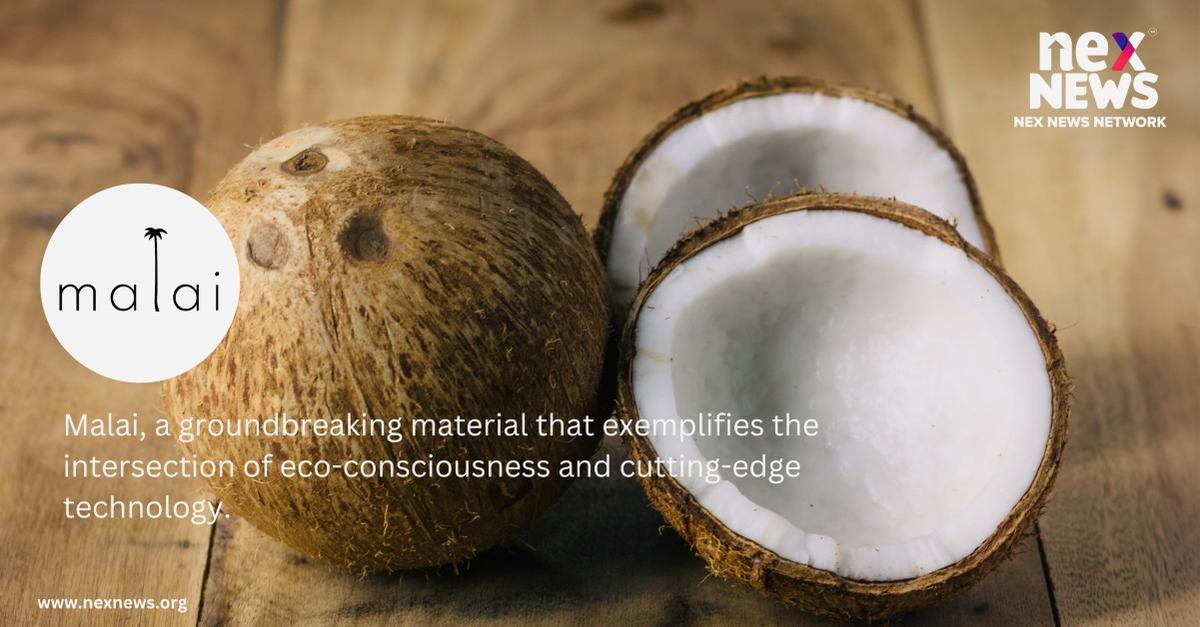 Revolutionizing Sustainable Fashion: Malai, the Organic Marvel: Nex News Network