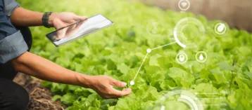 agricultural-product_1734679673957012989.webp