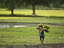 agricultural-reforms_173642270383130112.webp