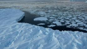 antarctica-gains-ice_174670024979441154.webp