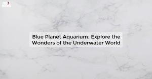 blue-planet-aquarium_1719811703558669176.webp