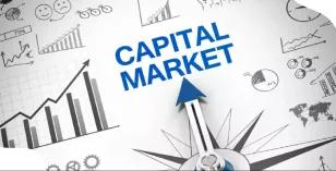 capital-market-refor_1782723777105930478.webp