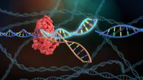 crispr-and-the-futur_1747299186248693868.webp