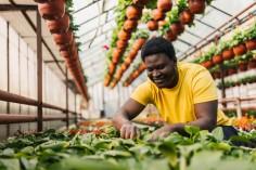 crop-science-for-foo_1734680135975461487.webp