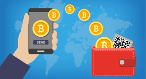 cryptocurrency-walle_1737007309274905759.webp