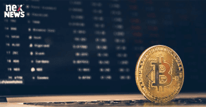 cryptopia-users-win_167507041711730268.webp
