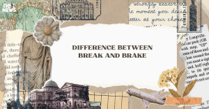 difference-between-b_1706155517600379910.webp