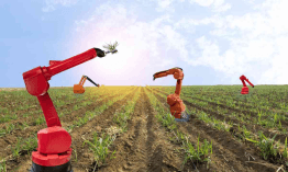 digital-agriculture_1736592827118020694.webp