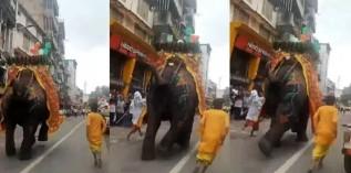 distressing-video-of_1751207423662242230.webp