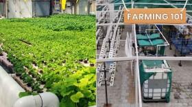 double-your-harvest_1744282438431089231.webp