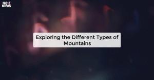 exploring-the-differ_1725511487192502540.webp