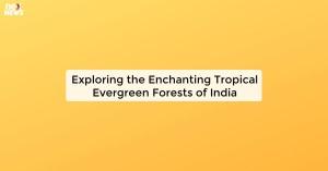 exploring-the-enchan_1725511582104837046.webp