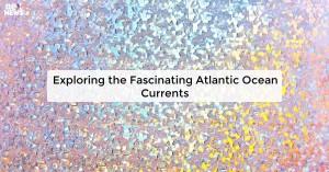 exploring-the-fascin_1725511597767755545.webp