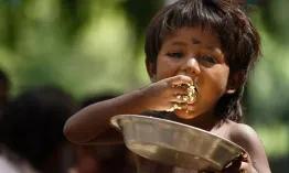 fighting-hunger-how_1737450254843241336.webp